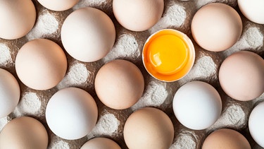 Viele Eier im Eierkarton, eins davon aufgeschlagen, sodass man den Detter sieht | Bild: mauritius images / Ivan Kmit / Alamy / Alamy Stock Photos